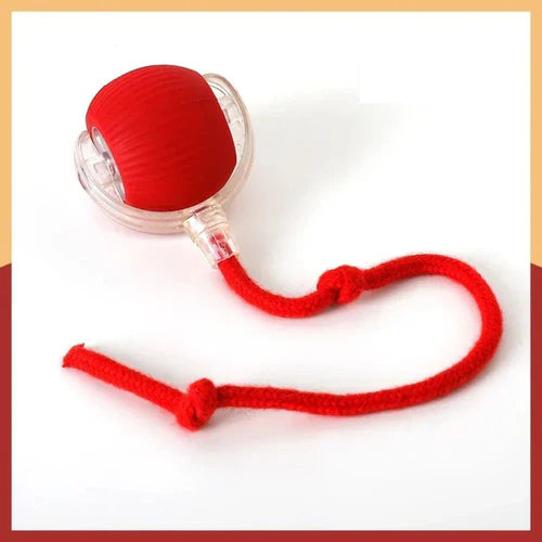 Bolinha Elétrica Para Cães e Gatos - Wizzer Pets