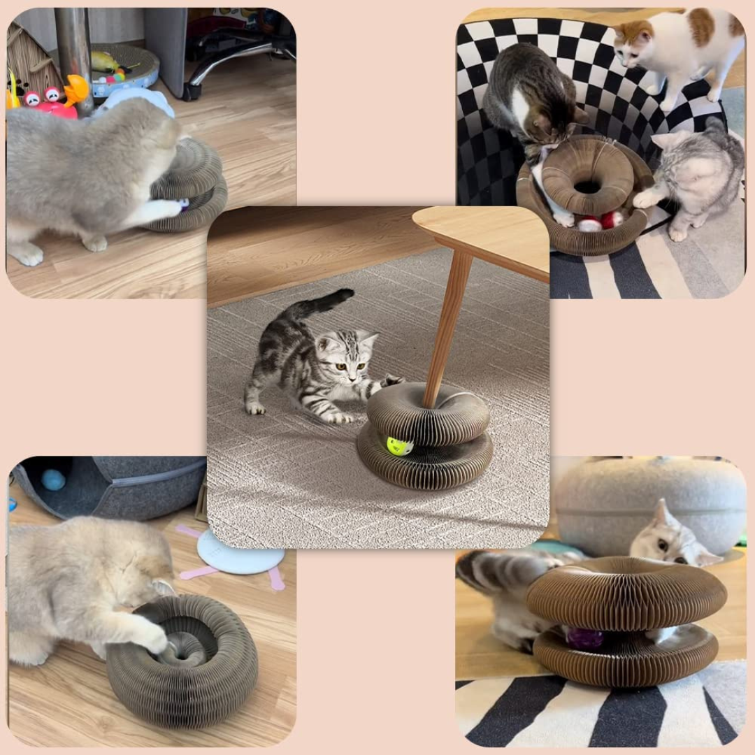 JoyCat™ - Brinquedo Interativo Para Gatos +1 Bolinha de Brinde