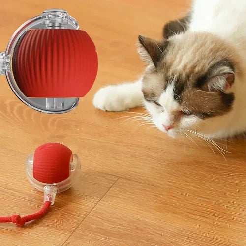 Bolinha Elétrica Para Cães e Gatos - Wizzer Pets
