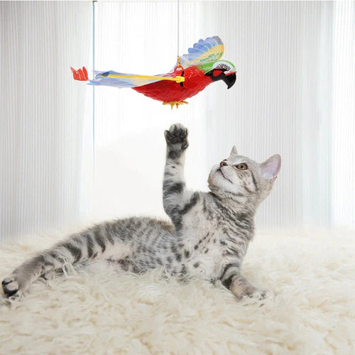 CatBird - O Super Pássaro Elétrico - Brinquedo para Gatos