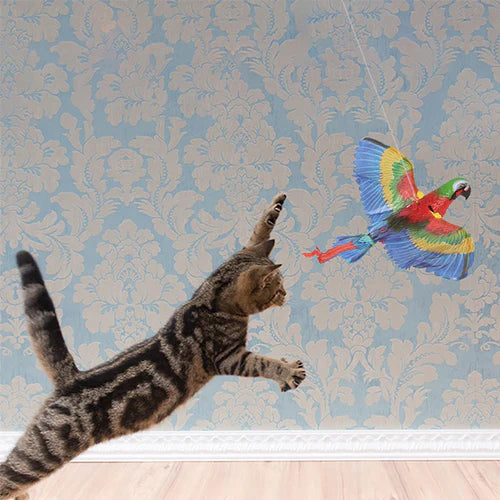 CatBird - O Super Pássaro Elétrico - Brinquedo para Gatos